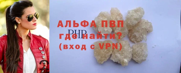 молекула духа Богданович