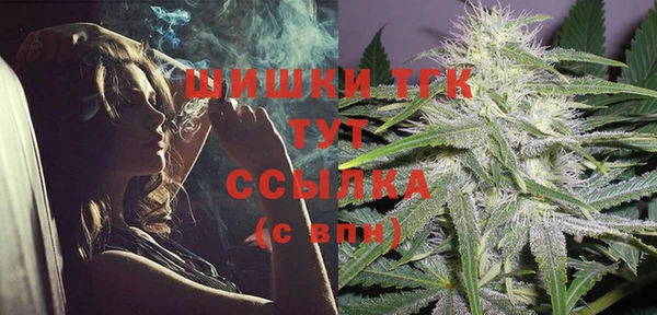 ГАЛЛЮЦИНОГЕННЫЕ ГРИБЫ Богородск