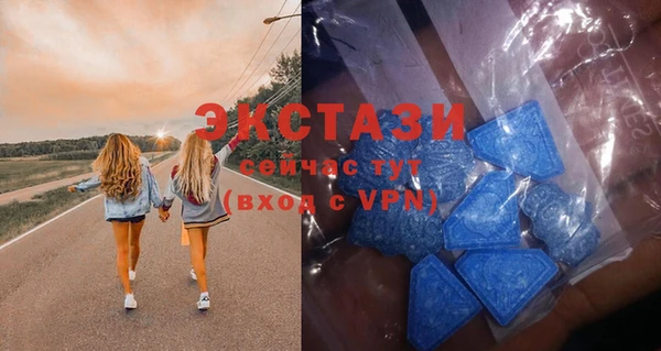 молекула духа Богданович