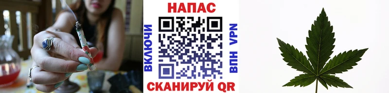мориарти как зайти  Буй  МАРИХУАНА гибрид 